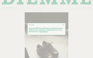 Diemme homepage website preview