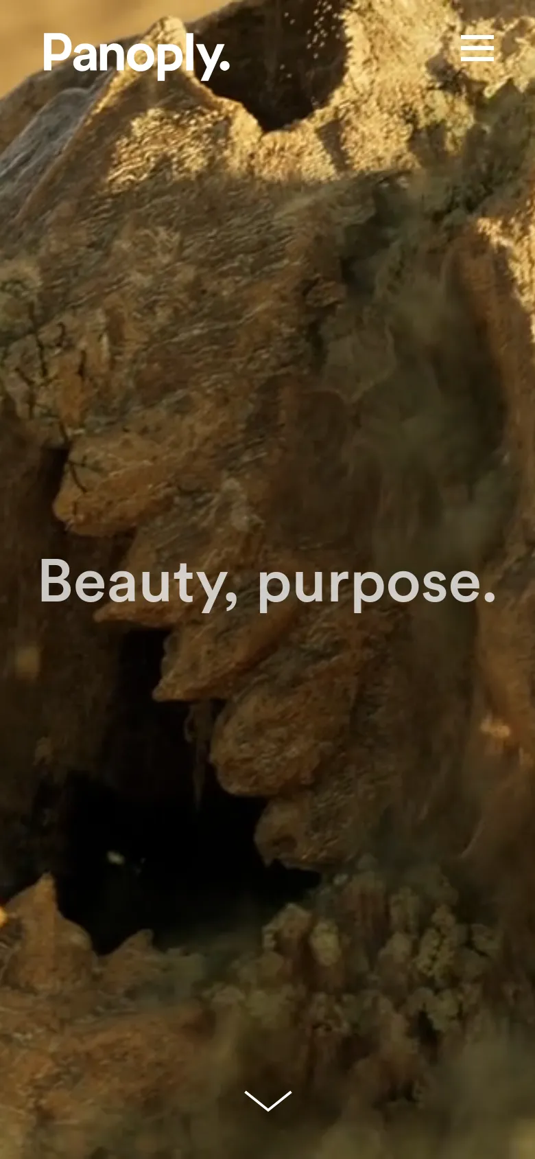 The mobile version maintains the dramatic, full-screen desert rock hero image and the centered 'Beauty, purpose.' headline. The top navigation is condensed, replacing the text links with a white hamburger menu icon on the right, while the Panoply logo remains on the top left.