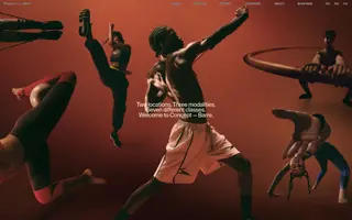 Concept Barre homepage website preview