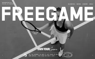FreeGame homepage website preview