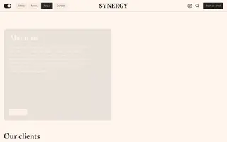 Synergy Art homepage website preview