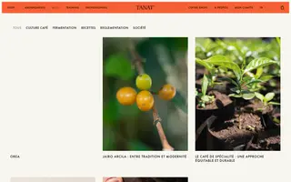 Tanat Coffee homepage website preview