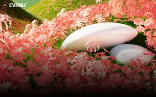 Evrnu homepage website preview