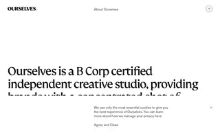 Ourselves homepage website preview