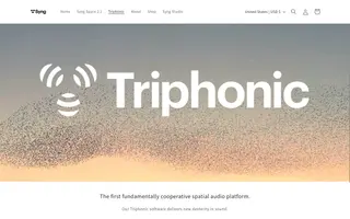 Syng homepage website preview