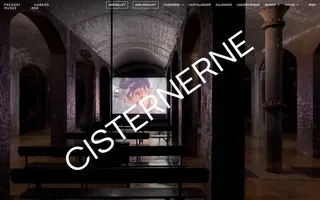 Cisternerne homepage website preview
