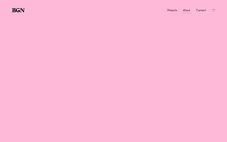 BGN homepage website preview