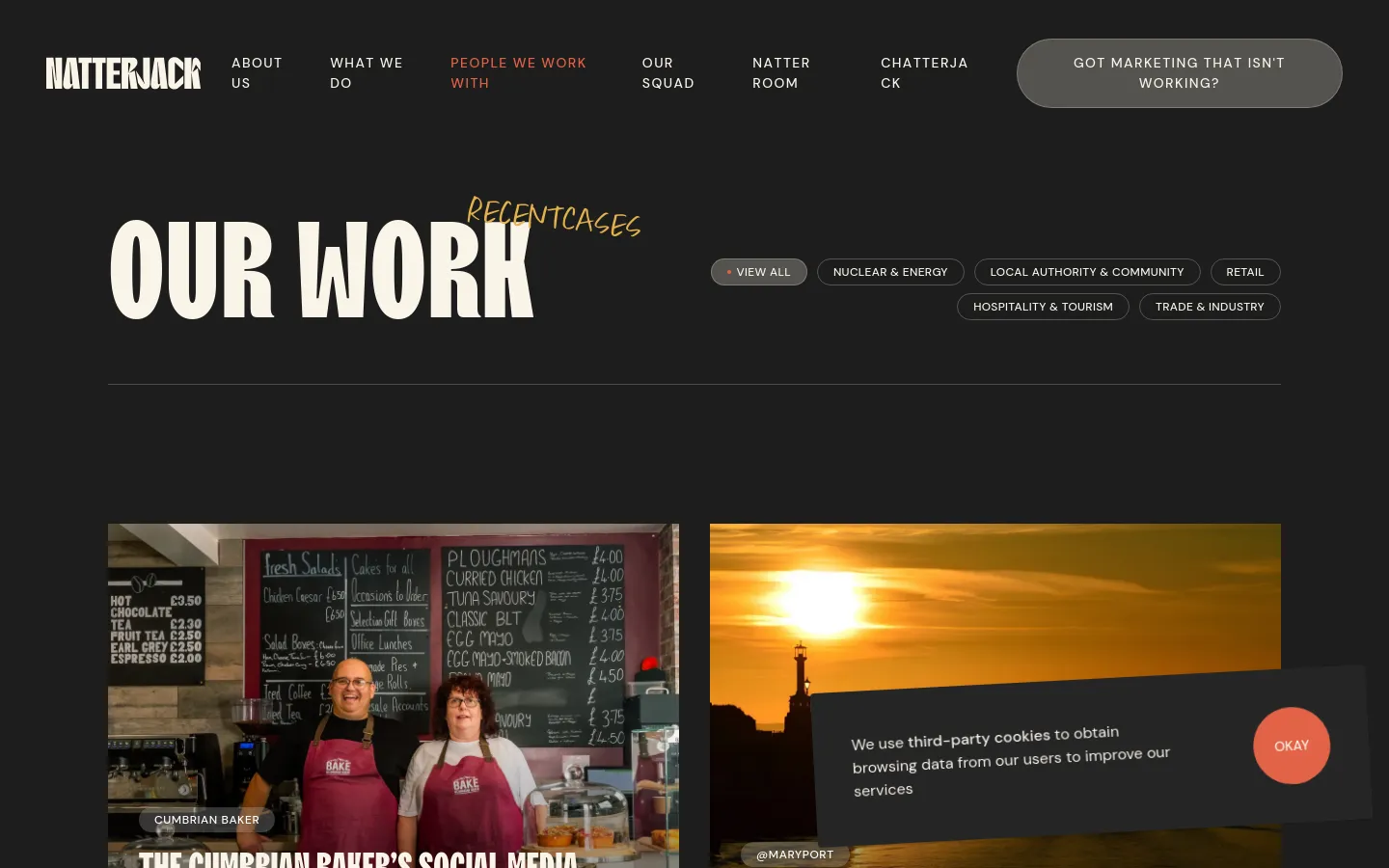 Natterjack Marketing Portfolio desktop website screenshot