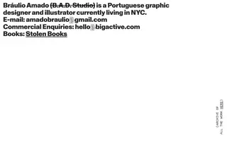 Bráulio Amado homepage website preview