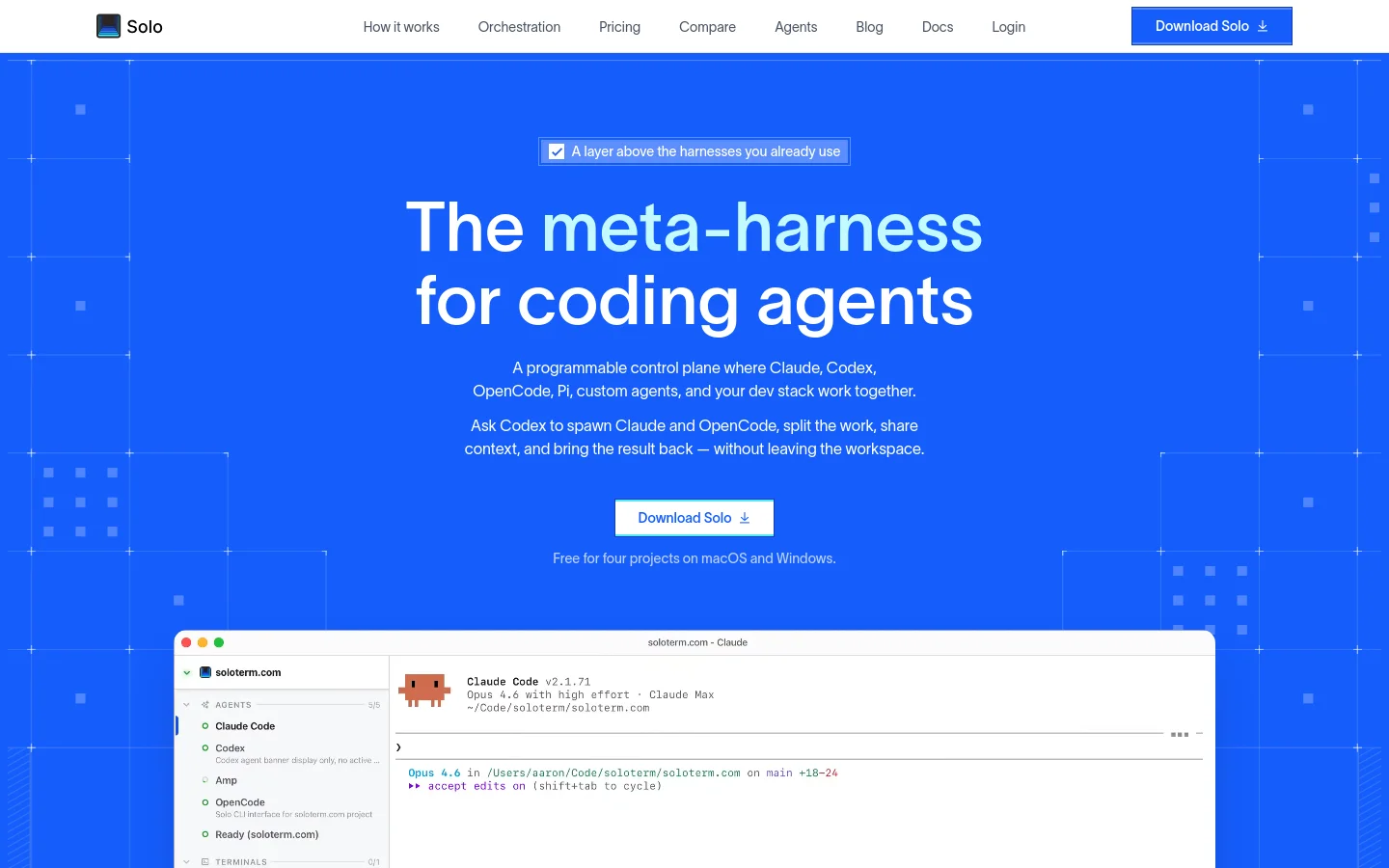 The Solo homepage features a vibrant blue hero section with a geometric pattern background and white text. The headline reads 'The meta-harness for coding agents' above a description of the programmable control plane and a prominent 'Download Solo' button. Below the hero, a screenshot of the application interface is partially visible against the blue background.