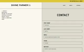 Divine Farmer C.A. homepage website preview