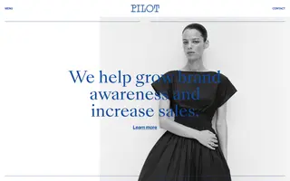 Pilot homepage website preview
