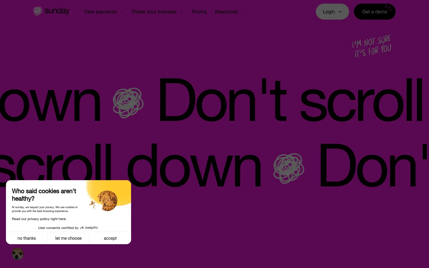 The desktop page features a deep purple background with large, bold black text reading 'Don't scroll' repeated across the screen. A white cookie consent pop-up is positioned in the lower-left corner, containing text about privacy and buttons for 'no thanks', 'let me choose', and 'accept'. The top navigation bar includes the Sunday logo, menu links, and 'Login' and 'Get a demo' buttons.