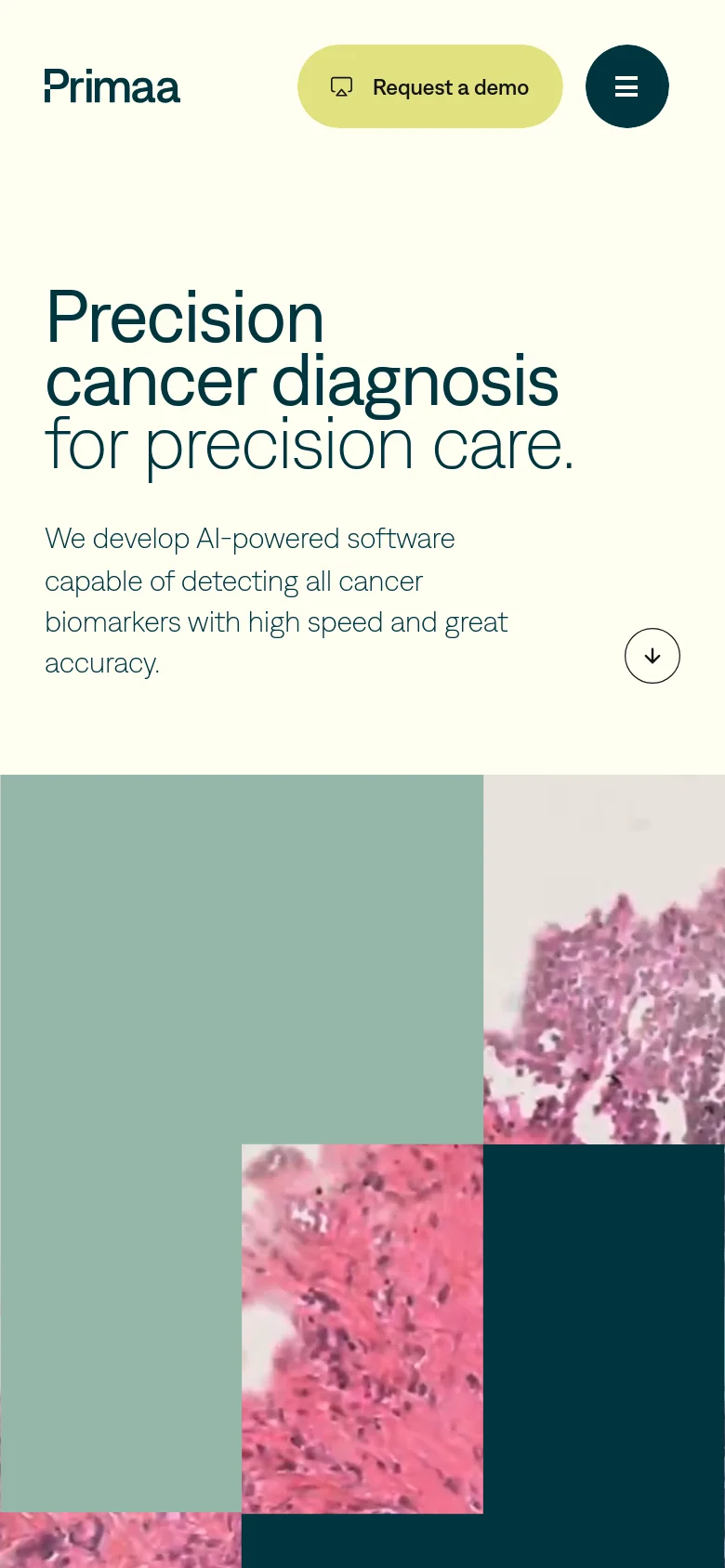The mobile version uses a stacked layout with the Primaa logo and a yellow 'Request a demo' button at the top, next to a hamburger menu icon. The main headline and subtext are centered above a large, full-width geometric collage of teal and pink microscopic imagery. A downward arrow icon indicates more content below the fold.