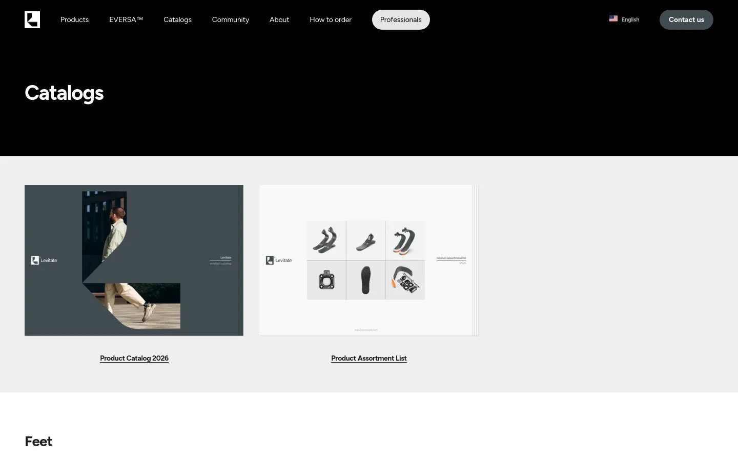 The desktop page features a dark header with a white logo and navigation links, followed by a large 'Catalogs' heading on a black background. Below, a light gray section displays two large rectangular preview images for the 'Product Catalog 2026' and 'Product Assortment List' side-by-side, each with a text link underneath. The layout is spacious with a clean, minimalist aesthetic using white, black, and gray tones.