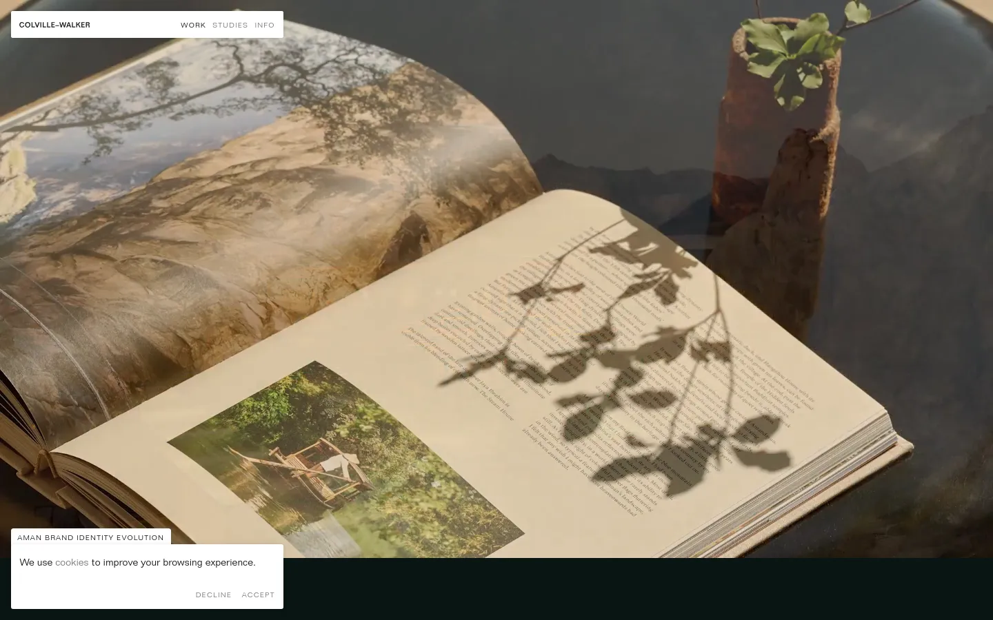 The desktop homepage features a large, cinematic hero image of an open book resting on a landscape, with a white navigation bar at the top containing the brand name and links for Work, Studies, and Info. Below the hero image, a grid of portfolio projects is displayed, each consisting of high-quality photography and descriptive text titles. The color palette is sophisticated and muted, utilizing natural tones and dark backgrounds.