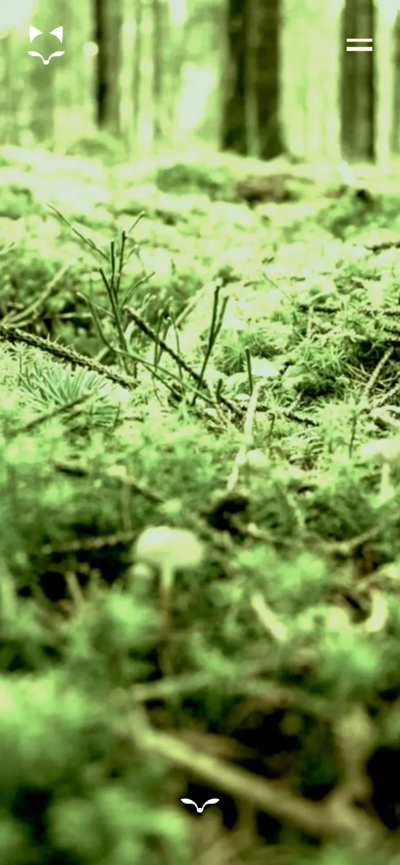 The mobile version displays a full-screen, lime-green tinted photograph of a forest floor with moss and twigs. The white Fox Meets Owl logo is positioned in the top left, a hamburger menu is in the top right, and a small white bird icon is centered at the bottom.