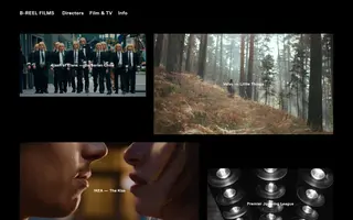 Brf homepage website preview
