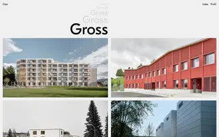 Clea Gross homepage website preview