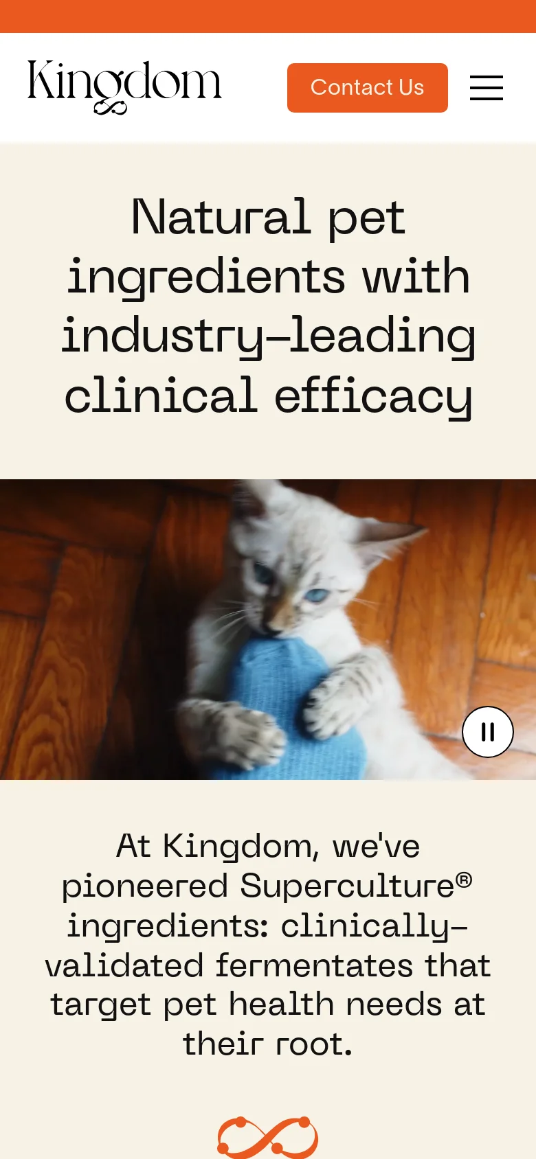 The mobile version uses a simplified layout with a hamburger menu and an orange 'Contact Us' button at the top. The hero section stacks vertically, showing the main headline in large black text above a close-up image of a white kitten.