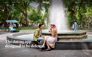 Hinge homepage website preview