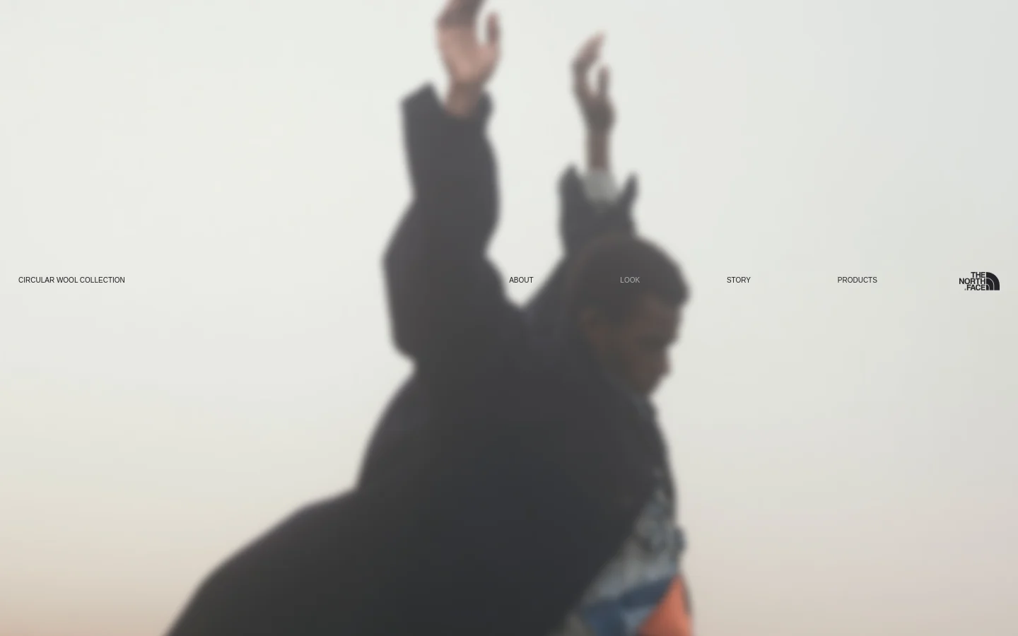 The desktop homepage features a large, atmospheric hero image of a person in dark clothing against a misty background. A minimalist navigation bar at the top includes links for About, Look, Story, and Products, alongside the Circular Wool Collection title and The North Face logo.