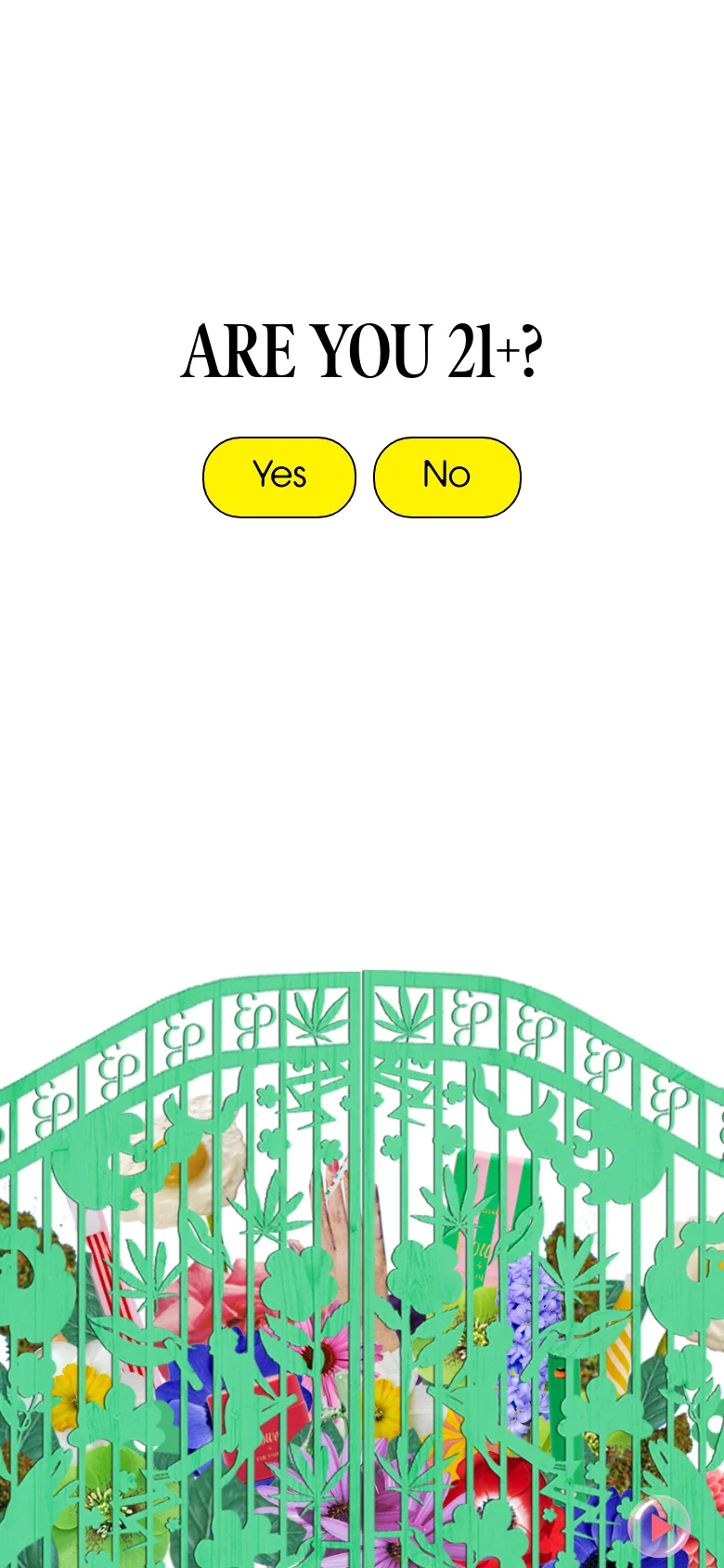 The mobile version presents a simplified, vertically stacked age verification screen. The 'ARE YOU 21+?' text and yellow buttons are centered at the top, while the decorative mint green gate and colorful floral patterns occupy the bottom half of the screen.